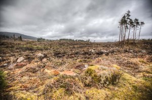 IMG_0030_1_2_3_4_tonemapped