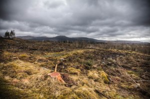 IMG_0040_1_2_3_4_tonemapped