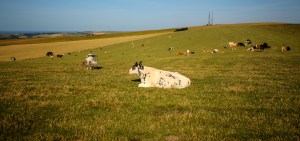 IMG_0495_6_7_tonemapped